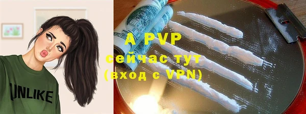 твердый Аркадак