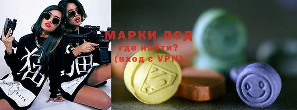 гашик Арсеньев