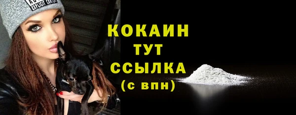 твердый Аркадак
