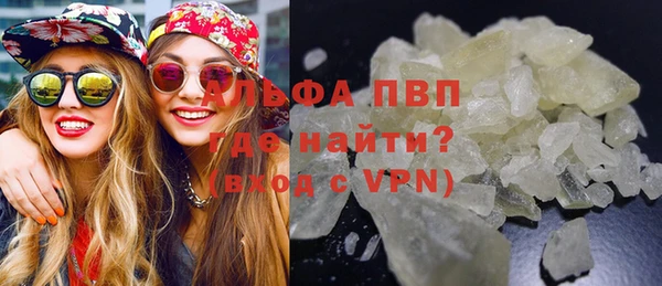 гашик Арсеньев