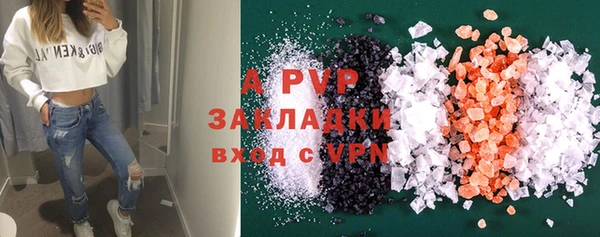 гашик Арсеньев