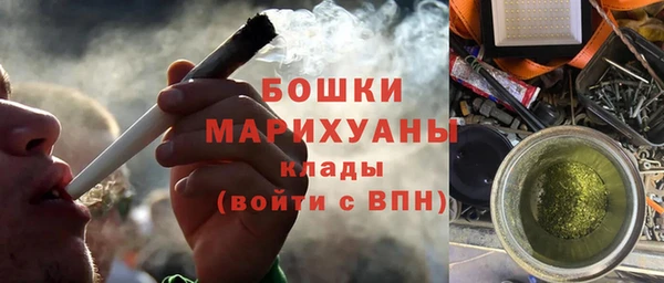 гашик Арсеньев