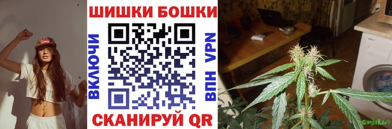 дарк нет Telegram  Чадан  Бошки Шишки AK-47  сколько стоит  omg tor 